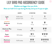 Load image into Gallery viewer, Pad (Moderate Absorbency): 10-Count